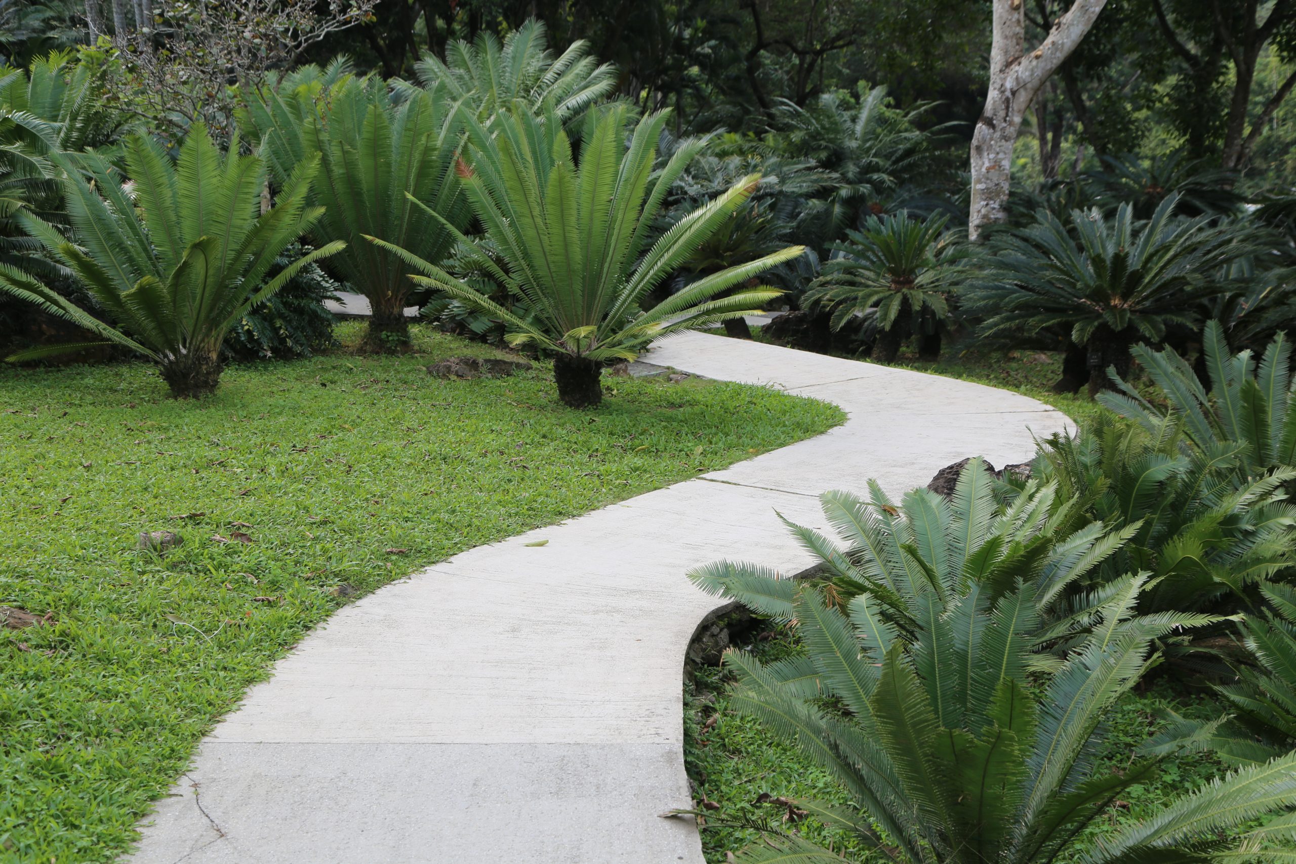 Walkways in Jamaica